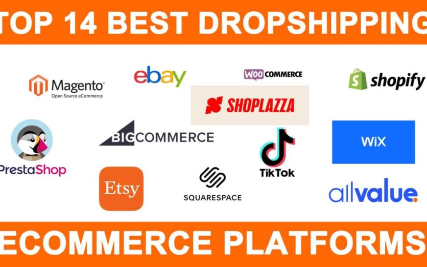 Exploring Dropshipping Platform Reviews: A Comprehensive Guide