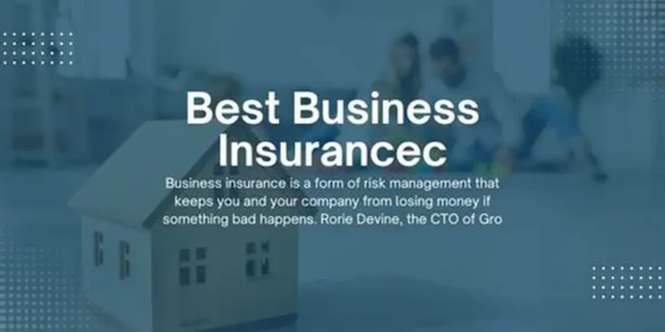 Crafting Affordable Business Insurance Solutions for Startups and Freelancers