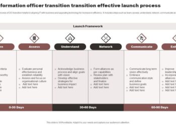 Chief Information Officer Transition Transition Effective Launch ...