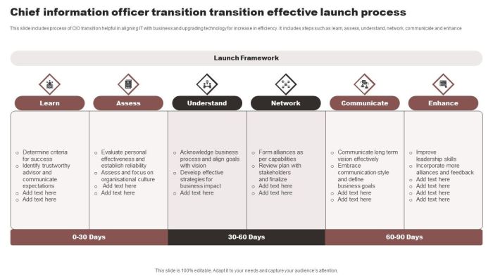 Chief Information Officer Transition Transition Effective Launch ...