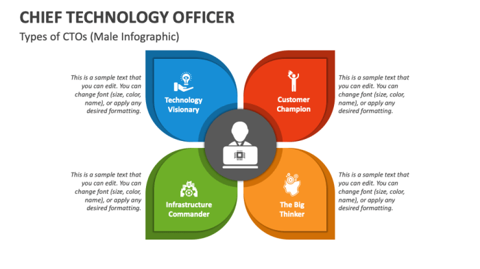 Chief Technology Officer PowerPoint Presentation Slides - PPT Template